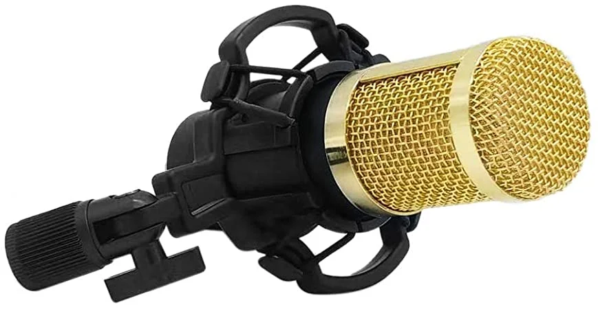 bm800.jpg