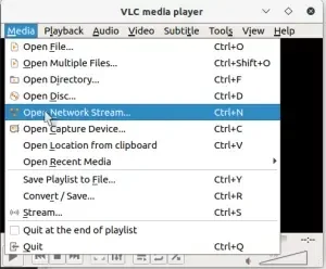 vlc-01-300x248.webp