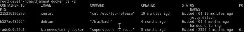docker_ps-a.webp