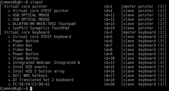 xinput_output.png
