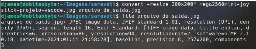 arquivo_de_saida-artigo-1.webp
