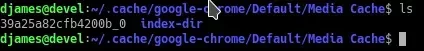 voice-google_translator.webp