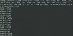 vcgencmd-codecs_enabled-300x148.webp