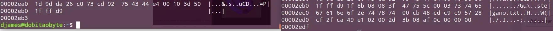compare-stegano.webp