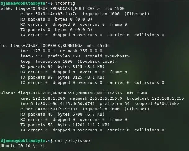 ubuntu_interfaces.webp