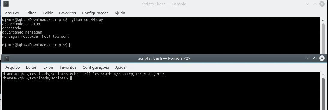 Sockets TCP com shell script