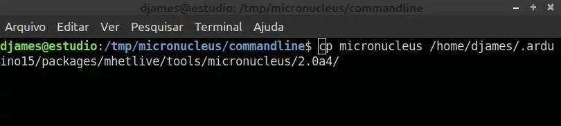 cp_micronucleous.webp