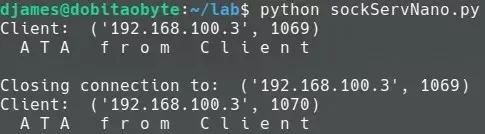 sockServNano.webp