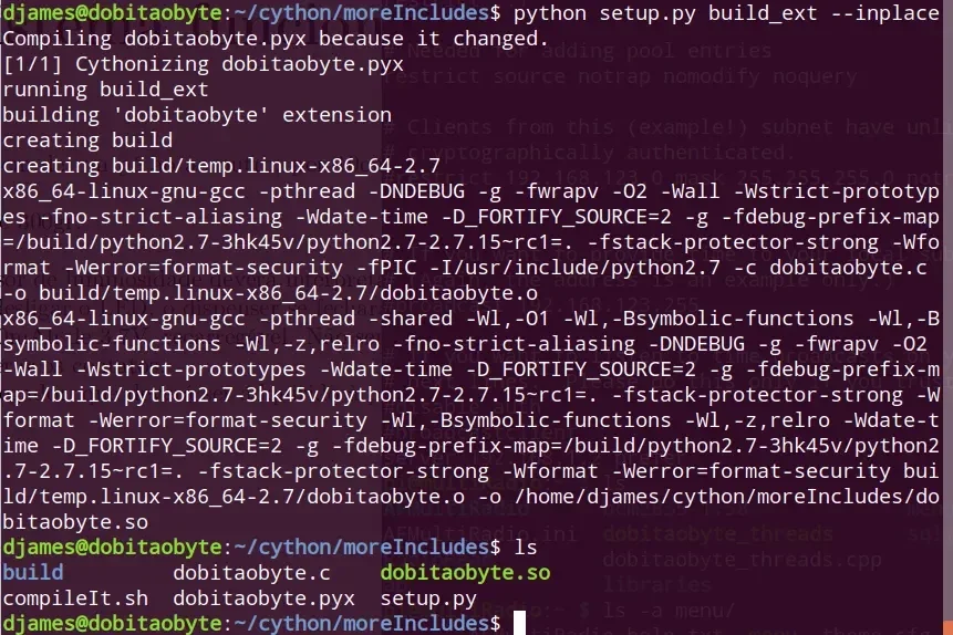 cython-build.webp