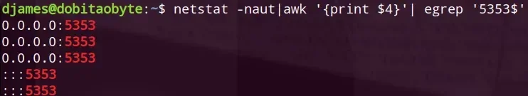 raspberry-netstat.webp