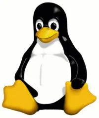Configurando servidor DHCP em Linux para uma rede doméstica