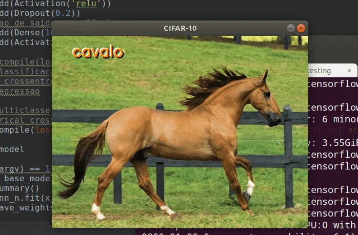 Como fazer predição de imagens com Keras e OpenCV