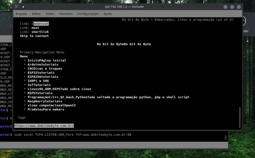 socat-redirect-1024x636.webp