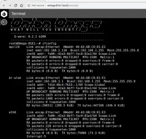 onion_omega-ifconfig-300x287.webp