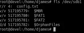 fls2.webp