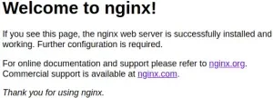 nginx-index-300x108.webp