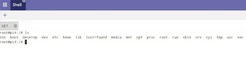 dws-shell.webp