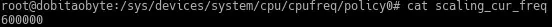 scalling_cur_freq-powersave.webp