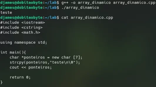 Como criar arrays dinâmicos em C++