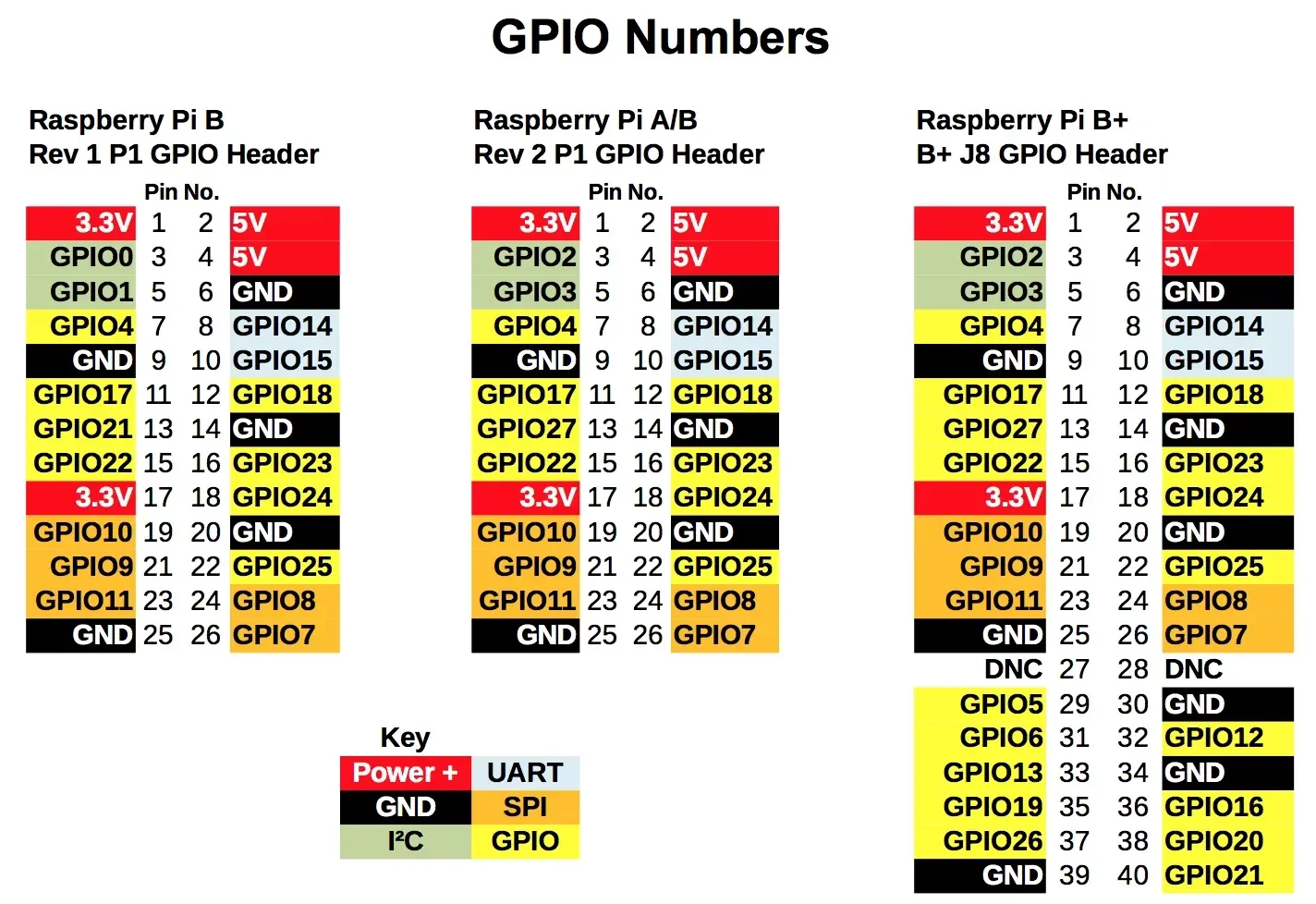 raspinout-1.webp