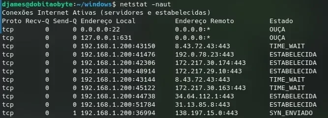 netstat-naut.webp