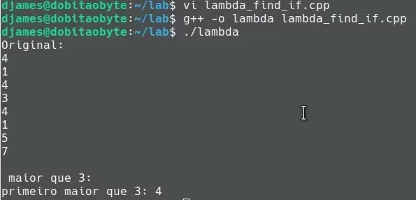 lambda_find_if.webp