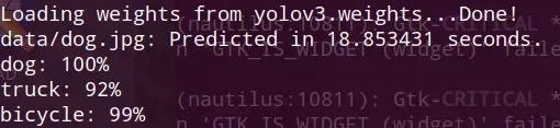 yolo-acuracy.webp