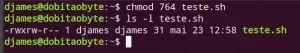 chmod-300x53.webp