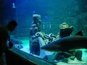 aquario-sp-ipiranga-300x225.webp