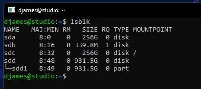 bash-lsblk.jpg