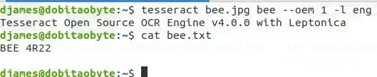 bee2.webp