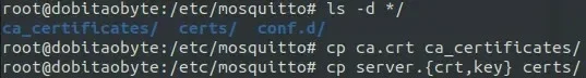 mosquitto-tls-4.webp