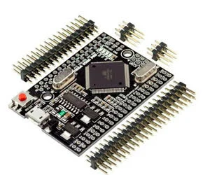 arduino_mega_pro_mini.jpg