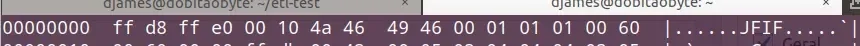 jpg-header.webp