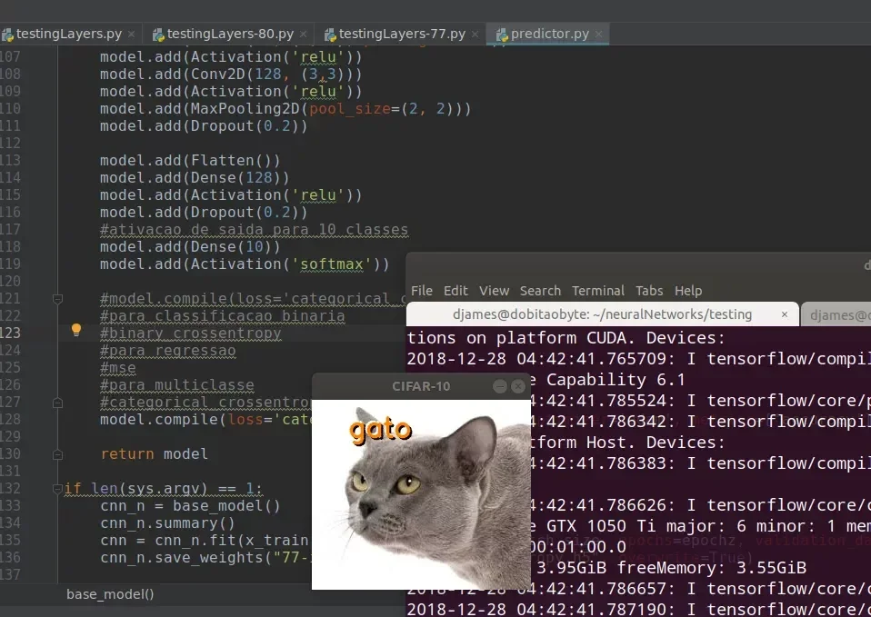 prediction-cat.webp