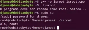 isroot-300x104.webp
