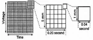 matriz_ecg-300x131.webp