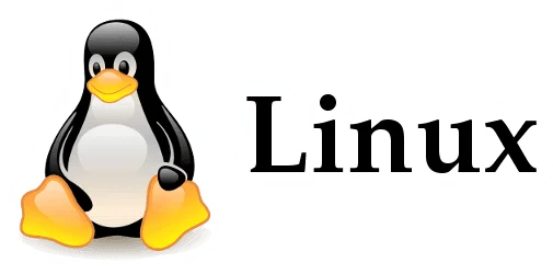 Configurar VLANs em Linux (Debian)