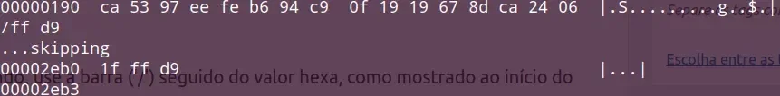 footer-jpg-find.webp